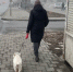 В Самаре неизвестный убил домашнего пса выстрелом в голову на глазах у хозяйки - ProGorodSamara.Ru