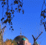 У мусульман завершается священный месяц Рамадан - ГТРК Самара