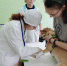 You are viewing the image with filename Image00001.jpg - Самарский ГАУ