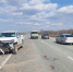 В Самарской области водитель иномарки насмерть сбил двух пони - Самарская Газета