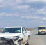 Два пони погибли под колесами "Мицубиси" на трассе в Самарской области - Губерния ТВ
