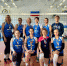 image - Федерация волейбола
