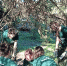 You are viewing the image with filename Image00001.jpg - Самарский ГАУ