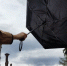 Штормовой ветер: жителям Самарской области грозит желтая опасность 12 мая - ГТРК Самара