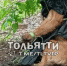 Замотали в мусорный пакет и привязали к дереву: в Тольятти нашли истощенную собаку - ГТРК Самара