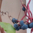 Самая вредная ягода: а мы ее уплетаем как деликатес, еще и детей заставляем - ProGorodSamara.Ru