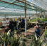 You are viewing the image with filename IMG_8901.jpg - Самарский ГАУ