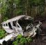 В ночь на 29 мая в ПФО упал самолет - Губерния ТВ