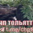 На Приморском бульваре в Тольятти лежит труп - ГТРК Самара