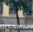 В Самаре парень разделся догола и поехал на скейтборде - ГТРК Самара