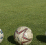 Стали известны соперники "Крыльев Советов" и "Акрона" в групповом этапе Кубка России - Губерния ТВ