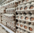 Эксперты рассказали о продуктах, богатых селеном - Губерния ТВ