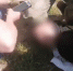 В Самаре сотрудниками полиции задержаны подозреваемые в похищении человека - ГУ МВД Самарской области