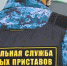 В Самаре дачница незаконно увеличила площадь своего участка - Губерния ТВ