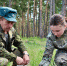 Спасли молодой лес: в Рачейском лесничестве специалисты остановили распространение опасного вредителя - Минлесхоз