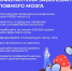 ПРОФИЛАКТИКА ЗАБОЛЕВАНИЙ ГОЛОВНОГО МОЗГА. - Городская поликлиника №6