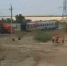 Появились кадры крушения поезда Казань-Адлер - ProGorodSamara.Ru