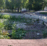 В Самаре в парке Победы полностью высохло озеро - ГТРК Самара