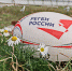 В Самаре «Барбарианс» сыграют в регби со сборной России - Самарская Газета
