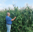 You are viewing the image with filename 1.jpg - Самарский ГАУ
