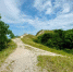 В Самарской области школьники провели экоакцию "Природа - мой дом, пусть будет чисто в нем!" - Губерния ТВ