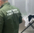 Девочку, зарезавшую своих младших сестер в Тольятти, отправили в психбольницу - ProGorodSamara.Ru