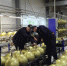 Нацпроект помог увеличить выработку на треть: производитель систем газового пожаротушения внедрил методики бережливого производства - МинПром