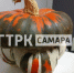 У жительницы Самары на Тыквенный Спас выросла тыква с шляпой - ГТРК Самара