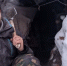 "Бросить вызов самой зиме": самарский путешественник будет выживать в лесу - Губерния ТВ
