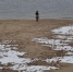 В Самарской области незаконно использовали воду из Волги для полива дач - Комсомольская Правда Самара