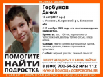 В Самарской области ищут пропавшего подростка