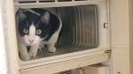 Наклейте прокладку под холодильник: лишь единицы знают, чем все это закончится