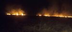 В Самарской области загорелось 700 кв. м камыша