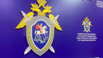 Главы СК РФ заинтересовался нападением на подростков в Самарской области
