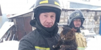 В Самарской области пожарные спасли кота из крупного пожара - Комсомольская Правда Самара