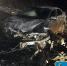Полицейские выясняют обстоятельства ДТП в районе Чапаевска - Волга Ньюс