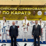 Тольяттинская каратистка Анна Чернышева стала победителем всероссийских соревнований - Волга Ньюс