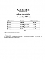 C 23 декабря закрывается переправа Самара — Рождествено