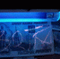 В Самарской области задержан гражданин Республики Узбекистан, подозреваемый в даче взятки - Следственный комитет