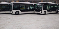 Стало известно, когда 300 новых низкопольных автобусов выйдут на маршруты в Самаре - ГТРК Самара