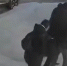 В Самаре разыскивают свидетелей драки в ЖК «Рассвет» в новогоднюю ночь - ProGorodSamara.Ru