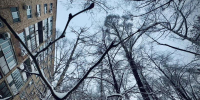 Порядка 40 бригад ежедневно очищают крыши от наледи в Самаре - Губерния ТВ