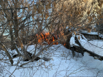 Вчера днем в Кинель-Черкасском районе горели постройки