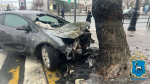 Около Струковского сада автомобиль врезался в дерево и загорелся