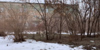 В Самаре хотят штрафовать на 5 тыс. рублей за кормление бездомных животных у магазинов - ГТРК Самара