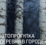  в Музее-галерее «Заварка» пройдет артист-ток (12+) с самарским фотографом Екатериной Олениной - НИА Самара