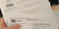 Стало известно, когда в Самарской области введут "подушевой" тариф на вывоз мусора - Губерния ТВ