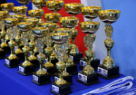 Две спортсменки из Самарской области выиграли медали первенства по самбо