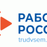 Вакансии недели: требуются специалист по ГТО, учитель русского языка и педиатр - Самарская Газета
