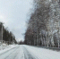 Погода на 17 февраля 2025 года: народные приметы и прогноз синоптиков - Губерния ТВ